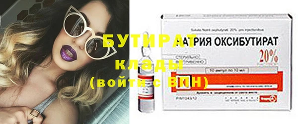 сатива Карпинск