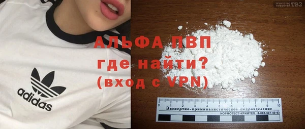 сатива Карпинск
