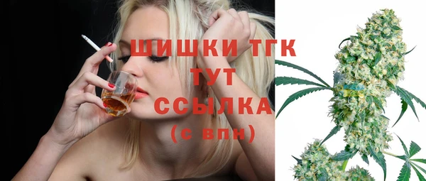 сатива Карпинск