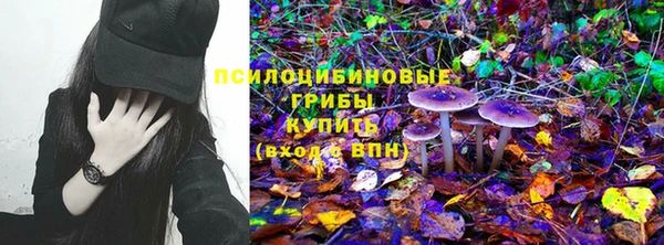 сатива Карпинск