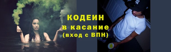 сатива Карпинск