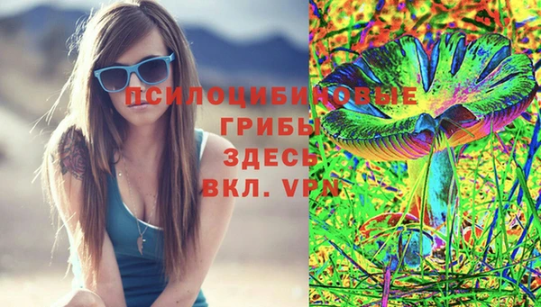 сатива Карпинск
