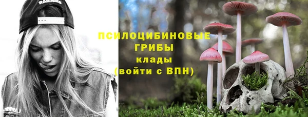 сатива Карпинск